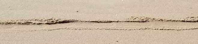 Line in the sand